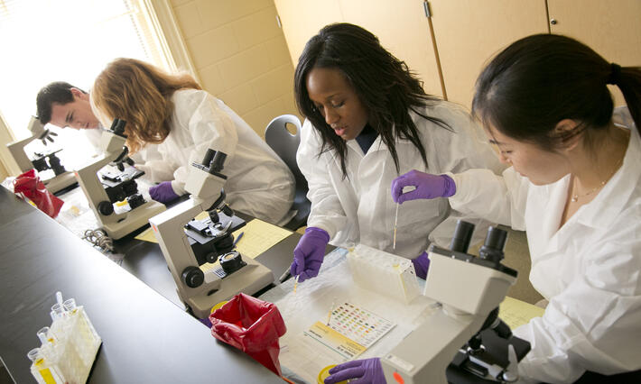 Researchers working in a lab