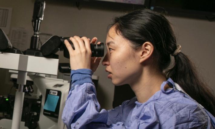 Medical trainee in scrubs peers into a microscope