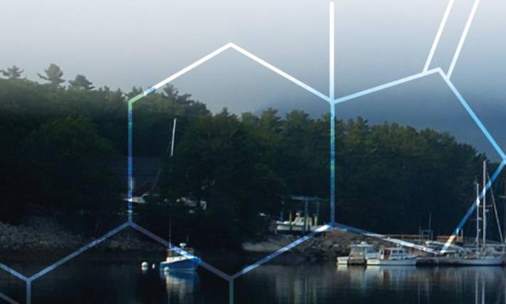 Boats sit in a harbor, transparent hexagons overlay the image