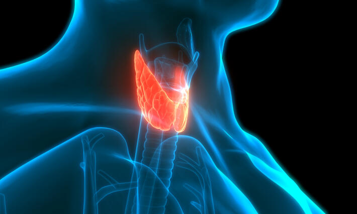 Thyroid cancer 3D rendering