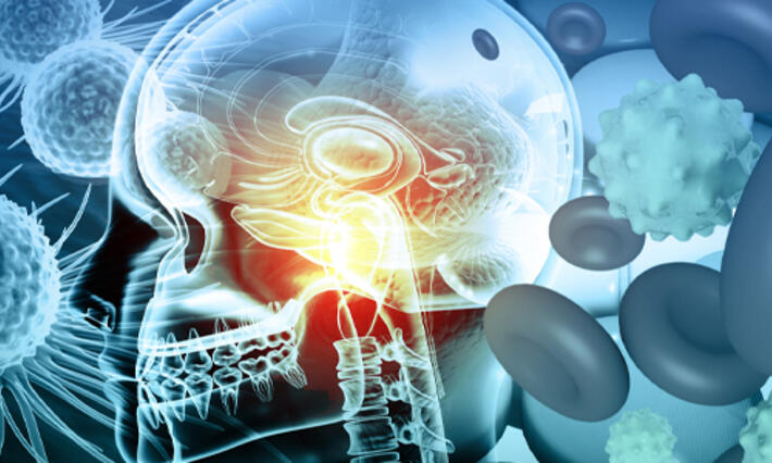 Human brain anatomy with cancer cells. 3d illustration