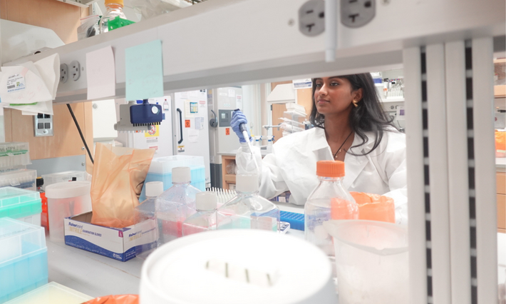 Roy prepares samples at the lab bench as part of her summer research.