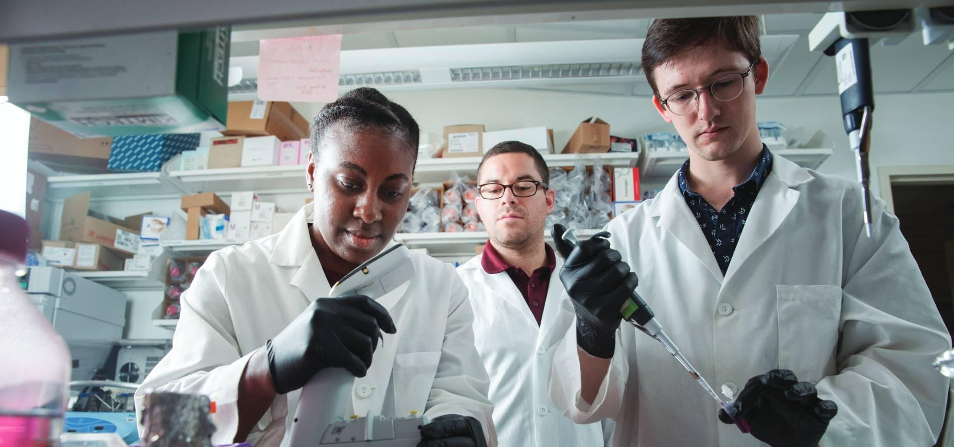 Three researchers in a lab
