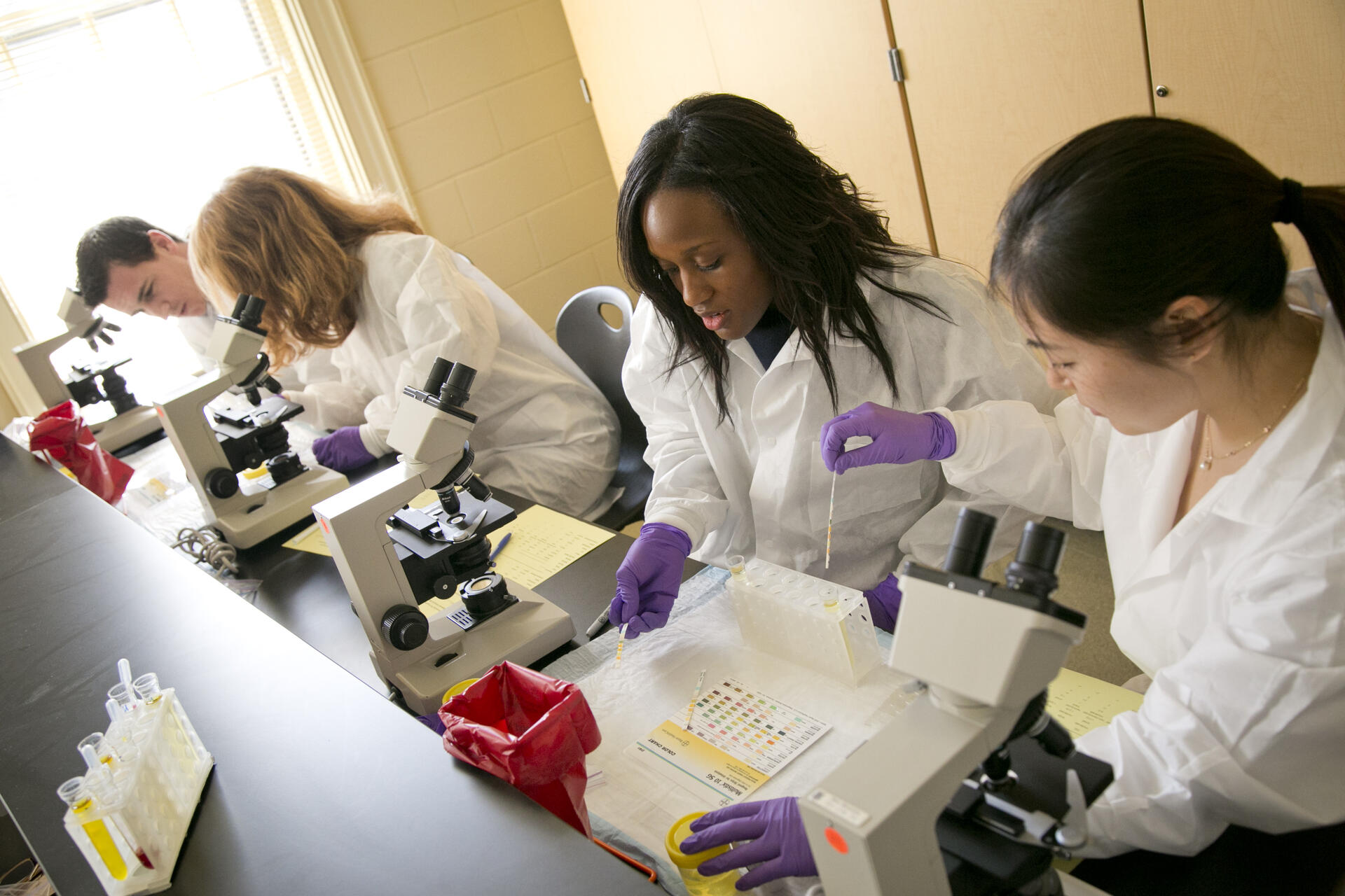 Researchers working in a lab