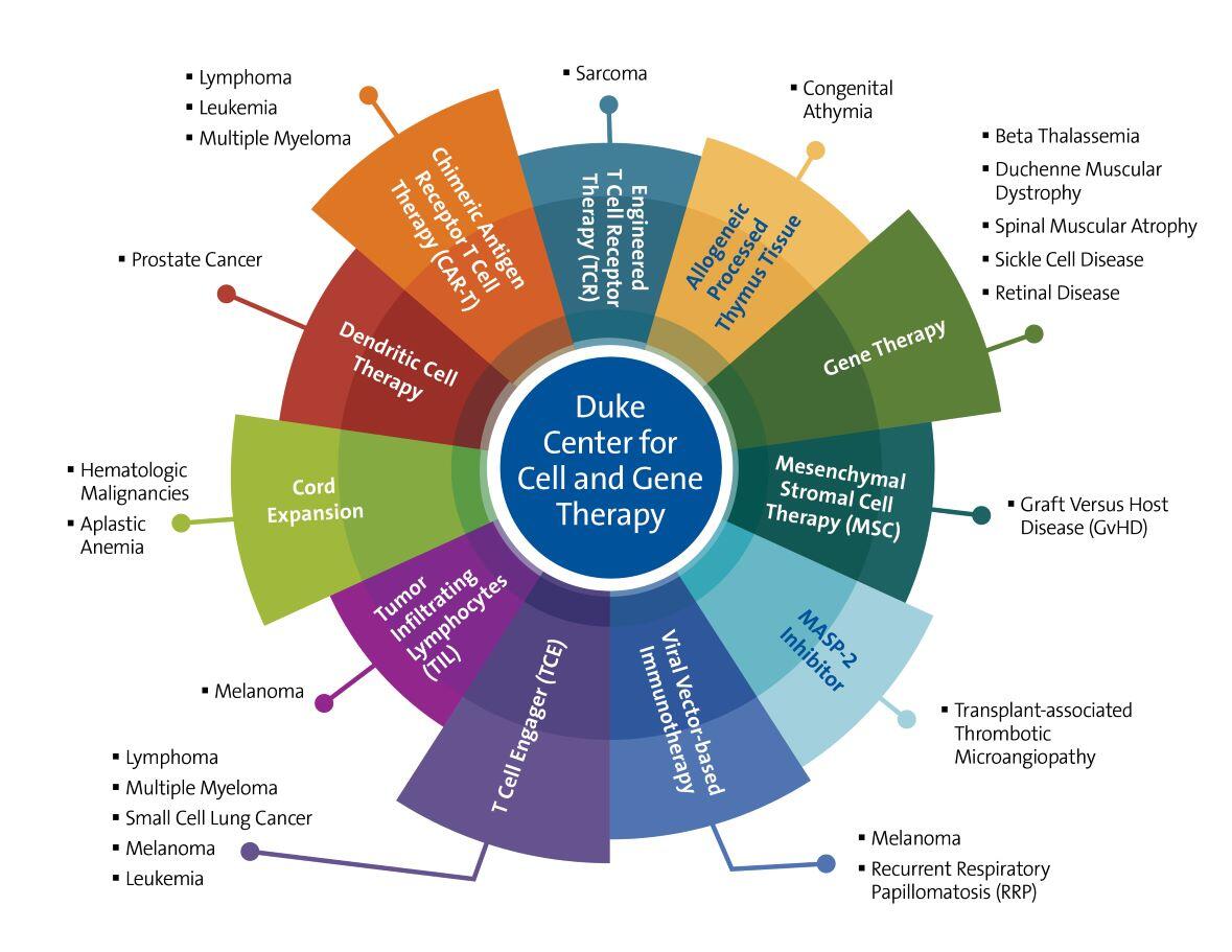 Duke Center for Cell and Gene Therapy graphic