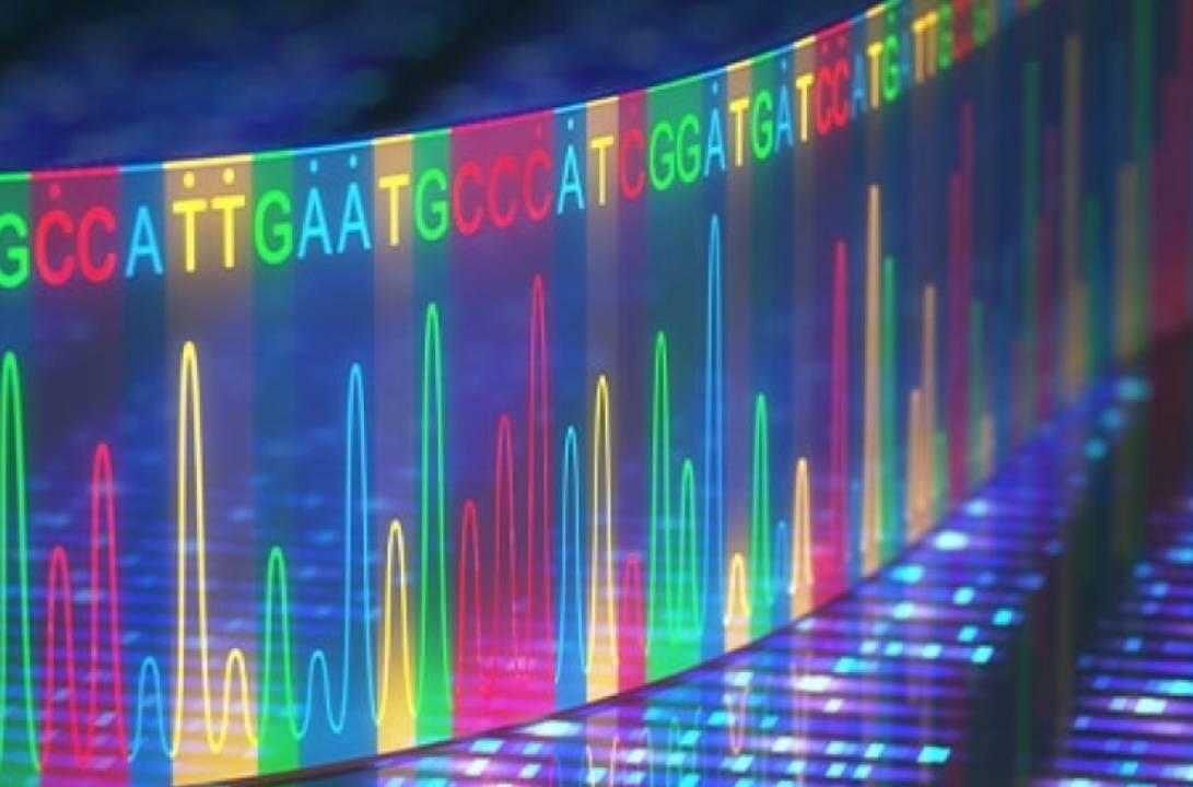 DNA strand