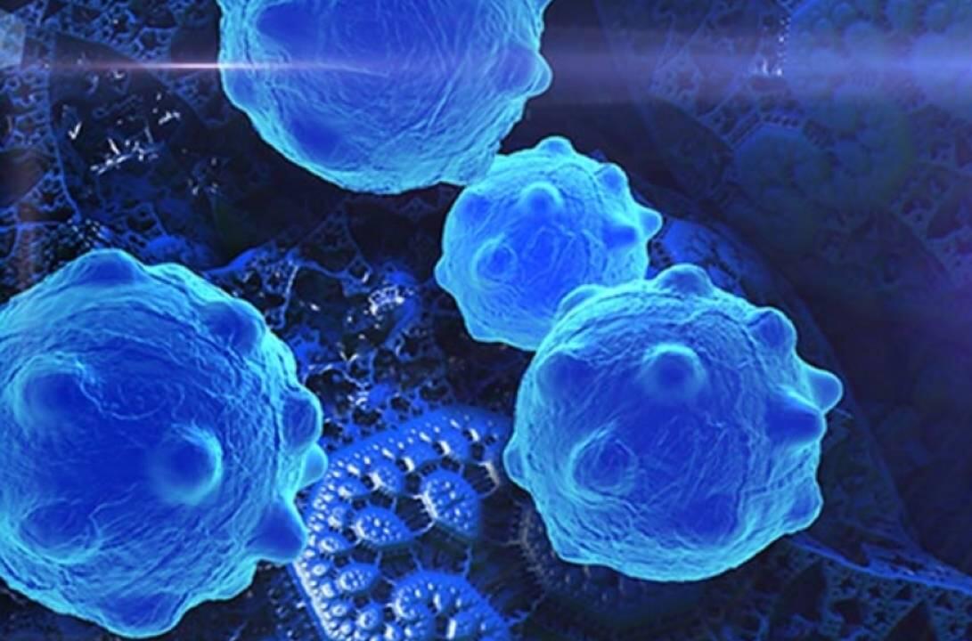 Cancer cells under microscope