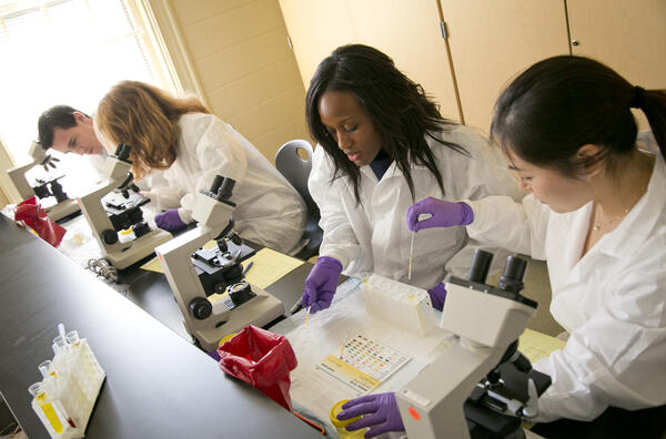 Researchers working in a lab