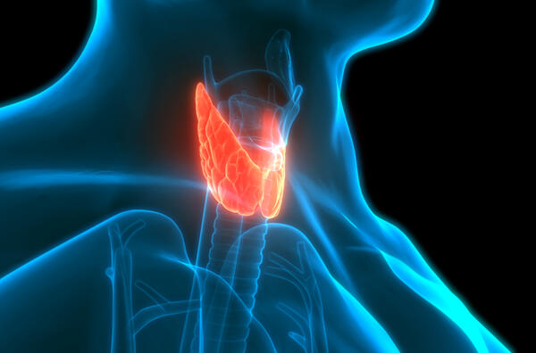 Thyroid cancer 3D rendering