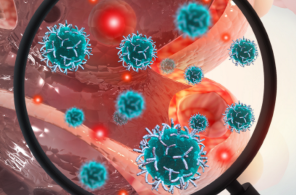 Stock image of a magnifying glass examining cells