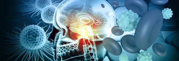 Human brain anatomy with cancer cells. 3d illustration