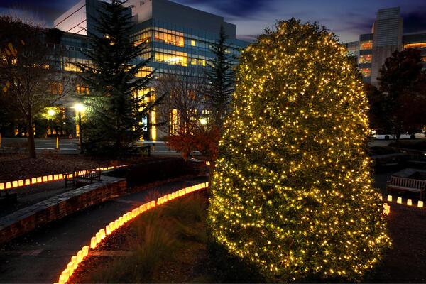 35th Annual Tree of Hope Lighting Ceremony