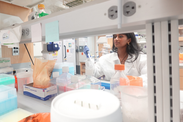 Roy prepares samples at the lab bench as part of her summer research.