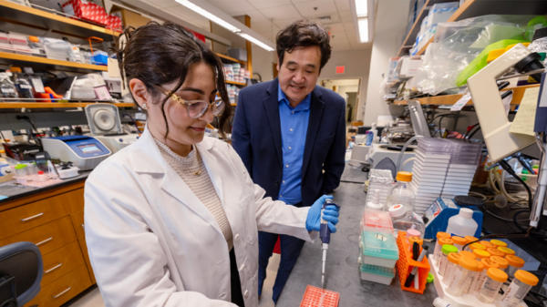 Study led by Yasaman Setayeshpour, PhD, left, and Jen-Tsan Chi, PhD, reveals ascites shields roaming ovarian cancer cells and flags a new way to pierce that protection. 