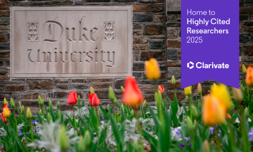 Duke University plaque on a wall with tulips in front, ribbon graphic overlay reads “Home to Highly Cited Researchers 2025”