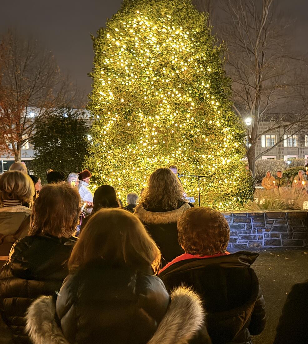 Crowd of people standing in front of a sparkling evergreen tree