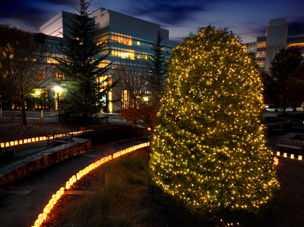 35th Annual Tree of Hope Lighting Ceremony