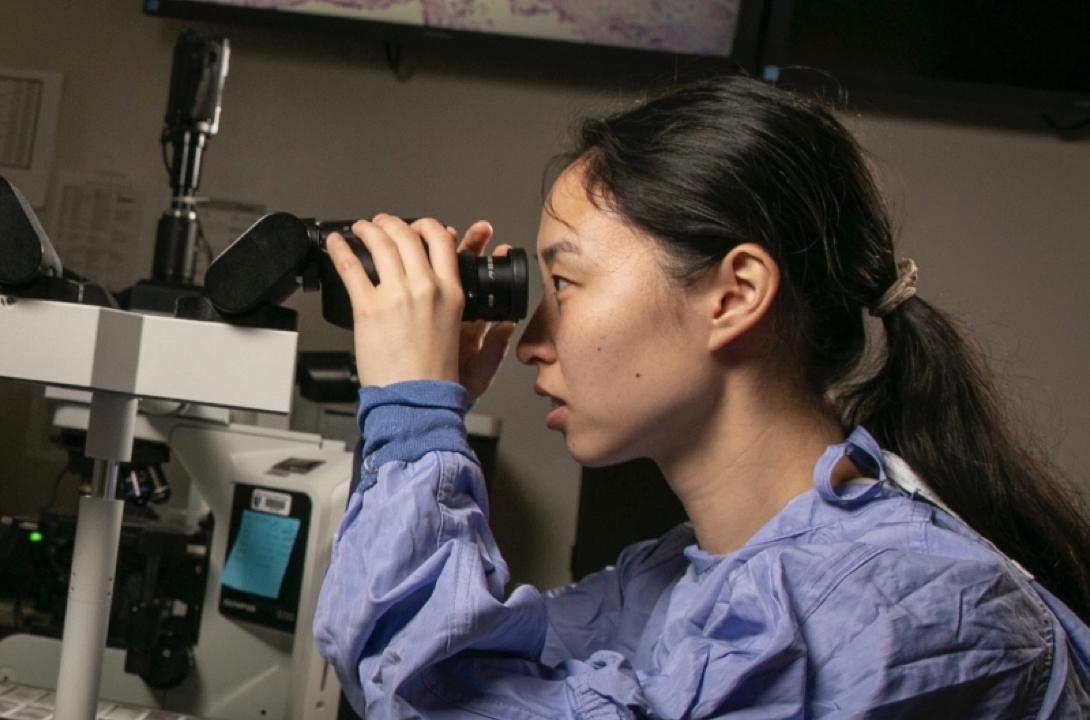 Medical trainee in scrubs peers into a microscope