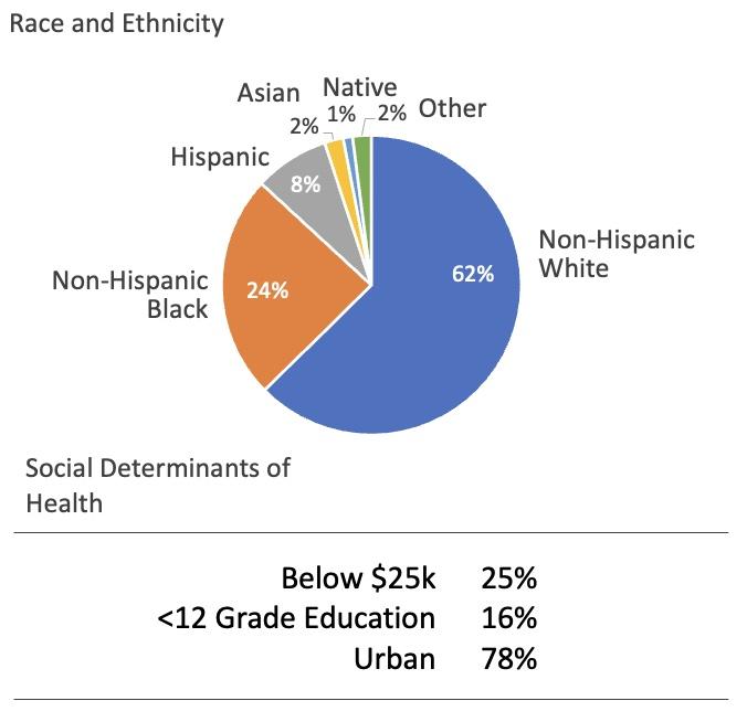pie chart showing DCI patient demographics