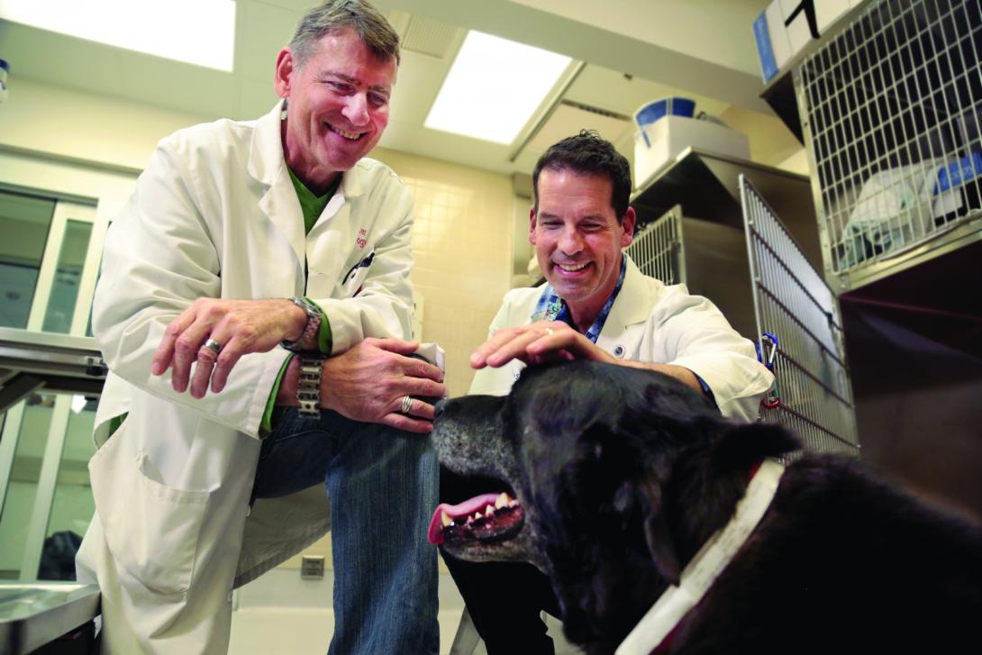 Will Eward with veterinary oncologist Steven Suter and black Lab dog