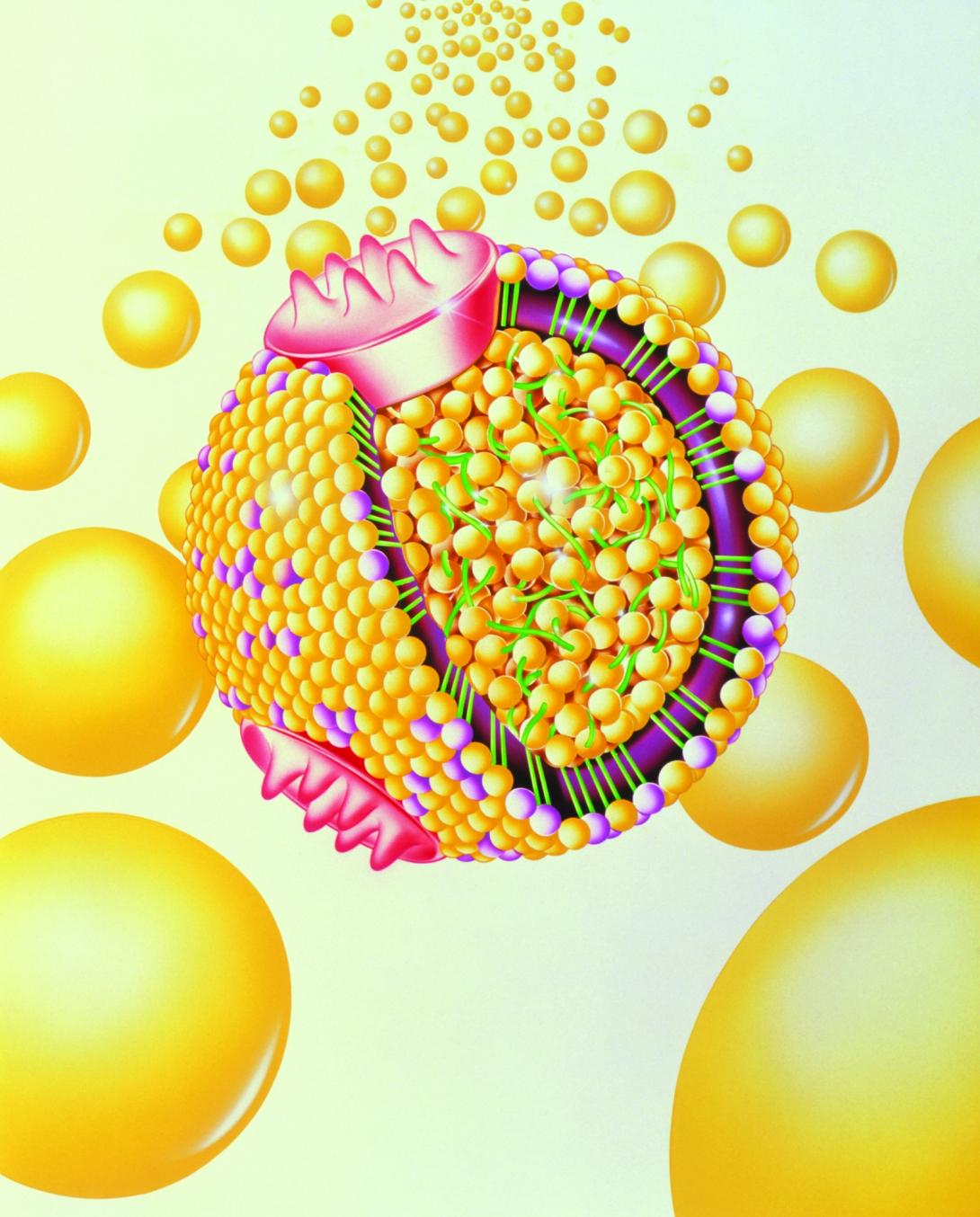 A drawing of a yellow low-density lipoprotein