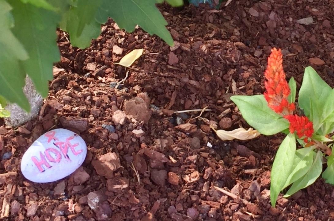 mulch with red flower and greenery and a smooth white stone with HOPE in pink written on it