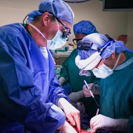 Peter Allen, MD, performs the Whipple Procedure to remove diseased tissue from the pancreas. 
