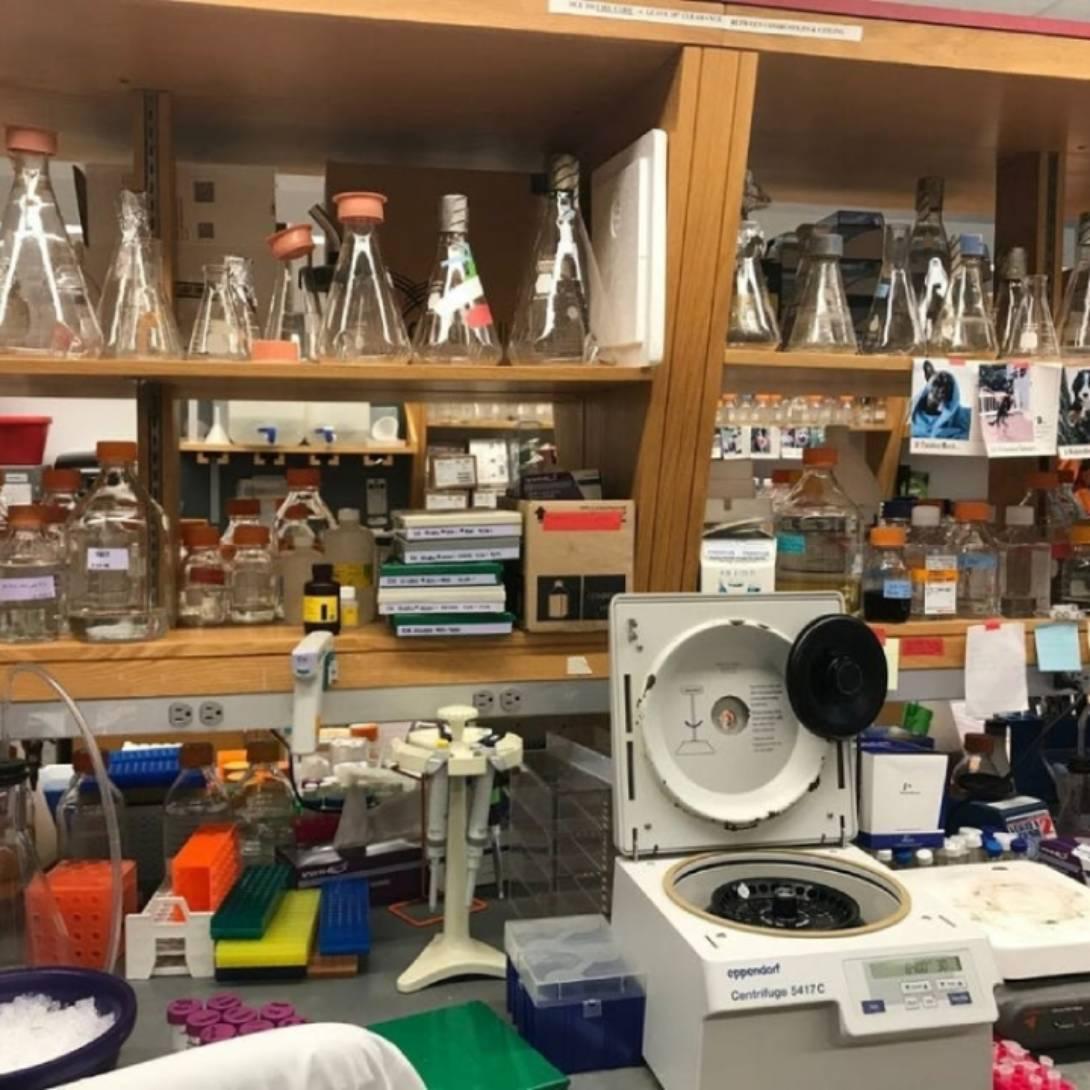 Lab shelves at Duke Cancer Institute