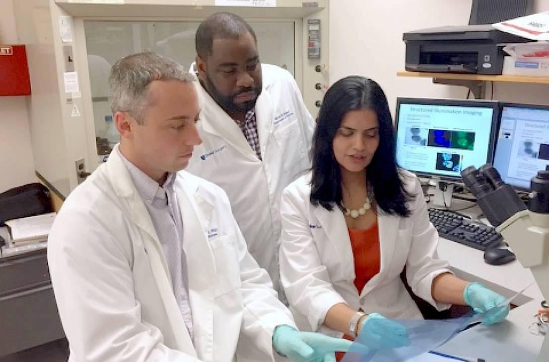 Three inflammatory breast cancer consortium members in a lab